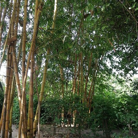 Evergreen Eco Lodge Retreat Tujereng Ngoại thất bức ảnh
