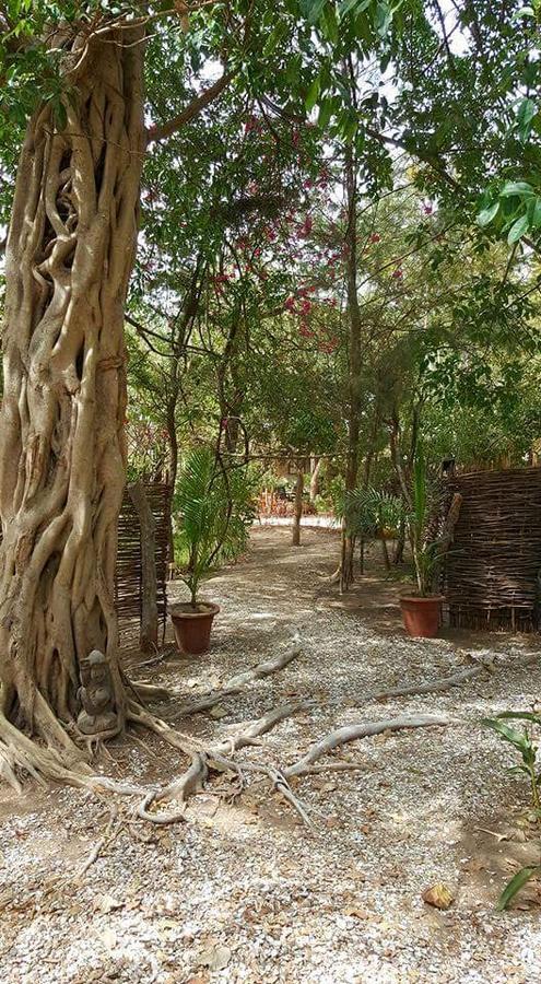 Evergreen Eco Lodge Retreat Tujereng Ngoại thất bức ảnh